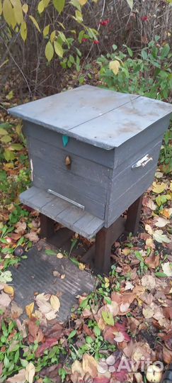 Пчелы и улья