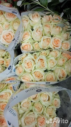 Роза России