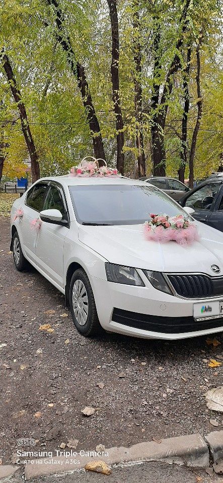 Skoda Octavia: фото владельца