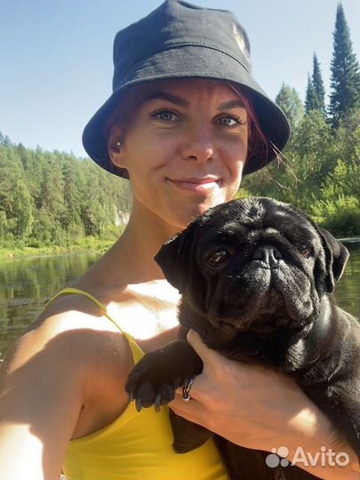 Зооняня с выездом для кошек и собак