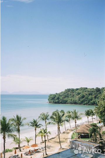 Фотопленка Цветная 35 mm 36 кадров ISO 250 Vision