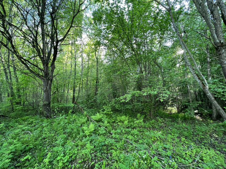 Участок 8,5 сот. (ИЖС)