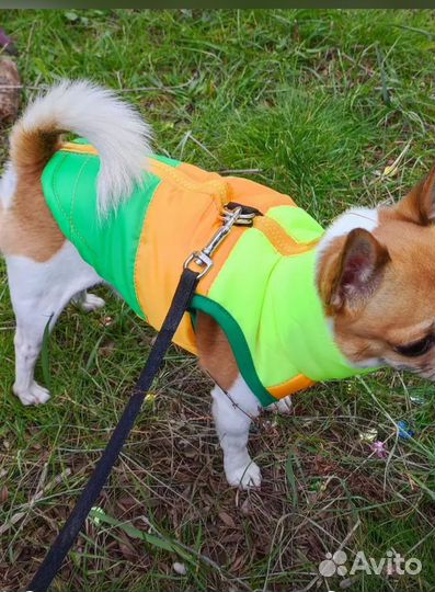 Жилетка для маленьких собак