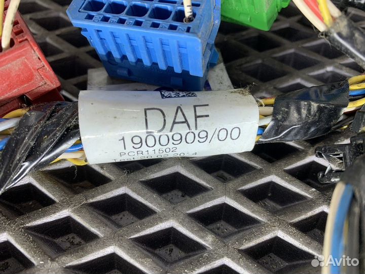 1900909 Электропроводка Daf XF105