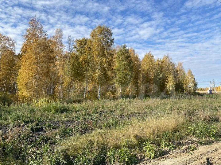 Участок 15,1 сот. (СНТ, ДНП)
