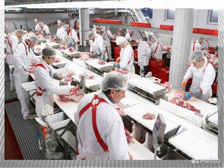 Вахта заготовители полуфабрикатов пищевое производ