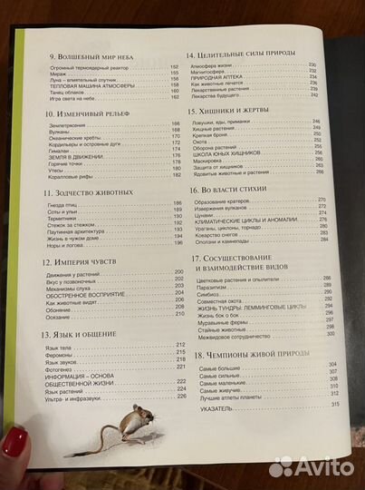 Удивительная жизнь природы