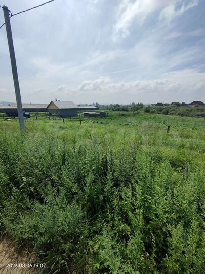 Участок 9 сот. (ИЖС)