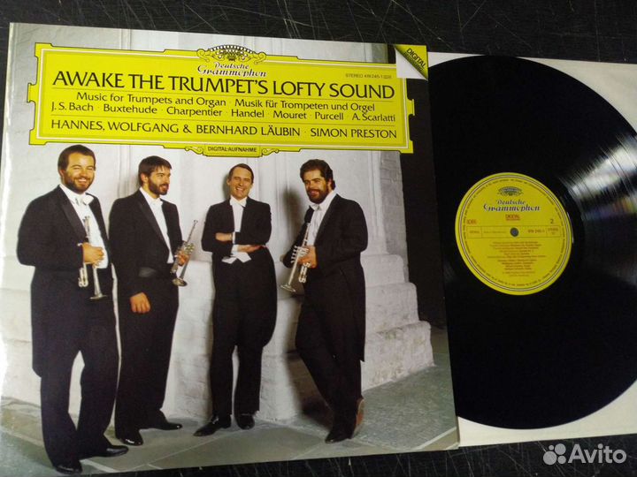 Труба классика барокко винил trompet trumpet