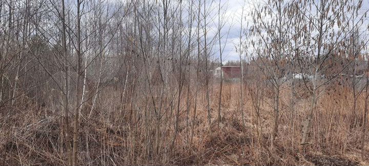 Участок 20 сот. (СНТ, ДНП)