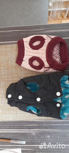 Костюм для собаки