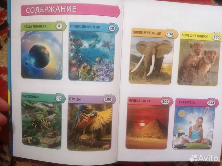 Энциклопедия новая