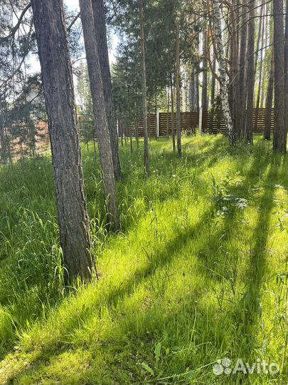 Покос травы триммером