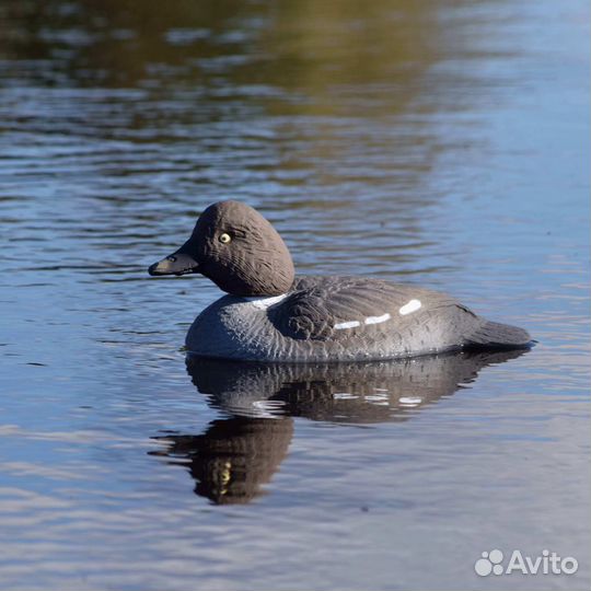 Чучела уток для охоты