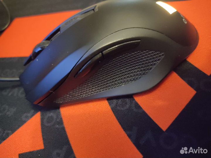 Omen Vector Essential