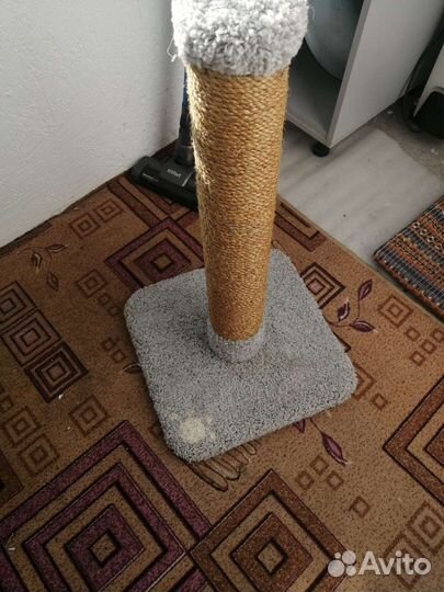 Когтеточка