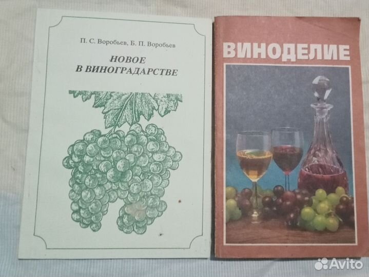 Сад, овощеводство