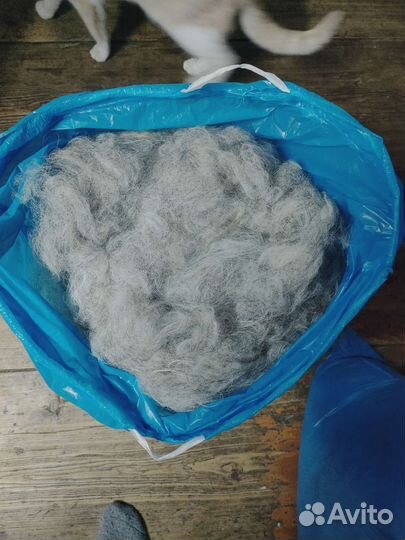 Шерсть не битая