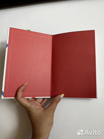 Руководители чемпионы книга