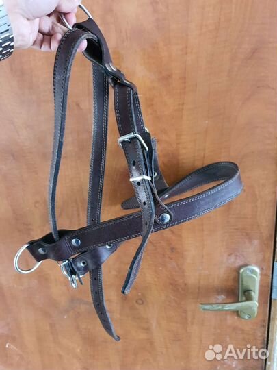 Шлейка для собаки