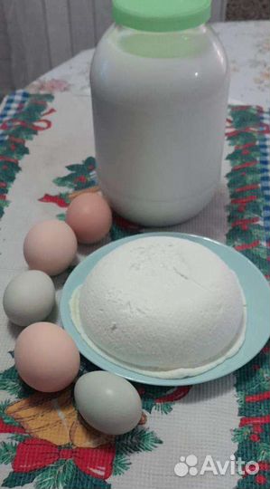 Продаю козье молоко,яйца и козий сыр