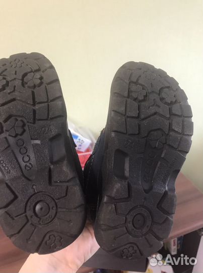 Ботинки Ecco 24