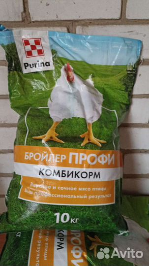 Суточные.Подрощенные цыплята бройлера