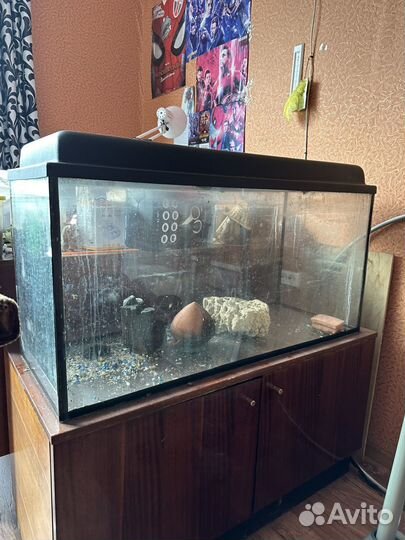 Аквариум