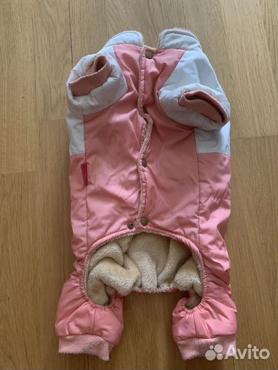 Одежда для собак