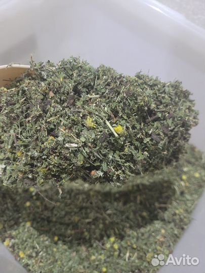 Алтайские травяной сбор оптом