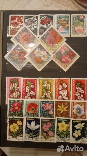 Марки флора и фауна разных стран