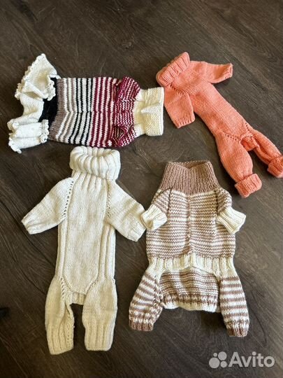 Одежда для собак