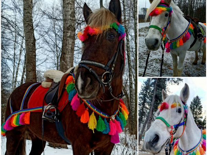 Много украшений для лошади и пони. Возможен обмен