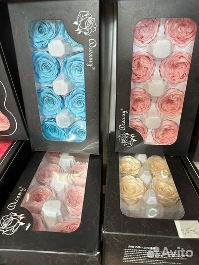 Роза стабилизированная