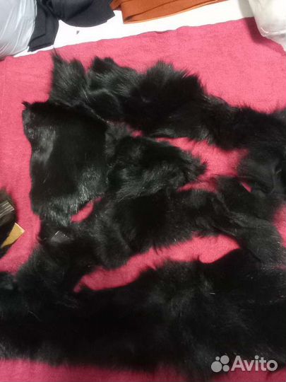 Чернобурка лиса обрезь