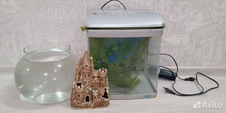 Аквариум