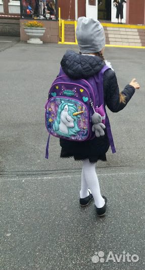 Ранец (рюкзак) с ортопедической спинкой