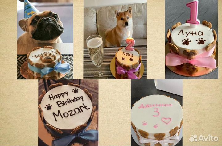 Торт для собак