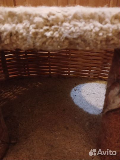 Кошкин домик