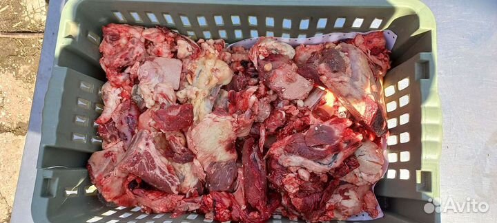 Мясо говядина для собак с доставкой на дом