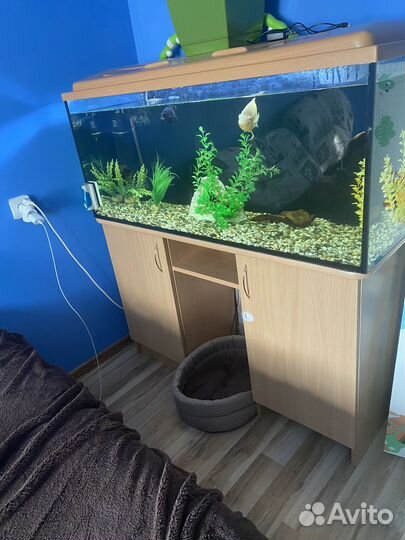 Аквариум с тумбой бу