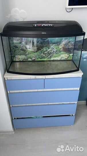 Аквариум 100 литров