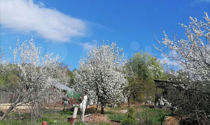 Участок 13 сот. (СНТ, ДНП)