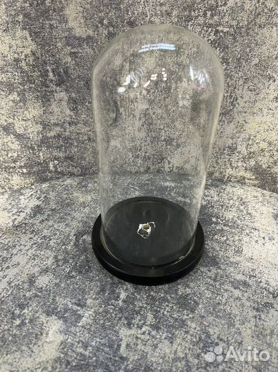 Стеклянный купол