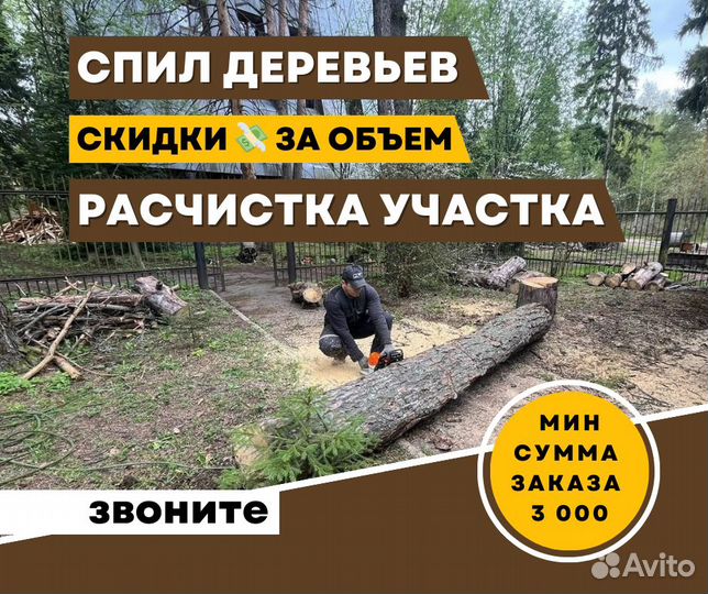 Спил деревьев, уборка участков