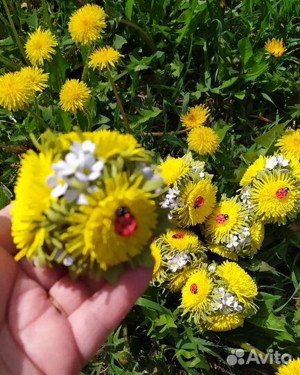 Резиночки для волос