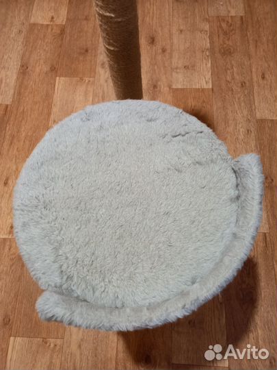 Когтеточка для кошек