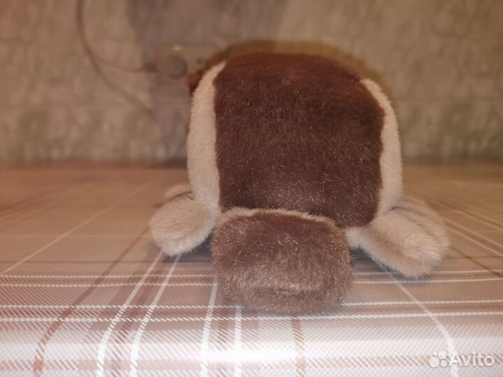 Котобус, Хаяо Миядзаки, аниме, мой сосед Тоторо