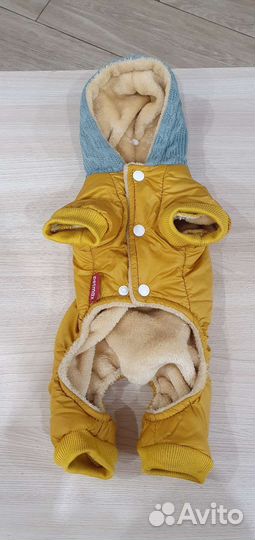 Одежда для собак мелких пород