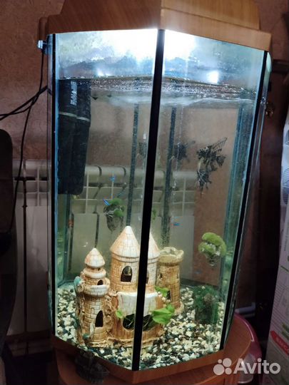 Аквариум